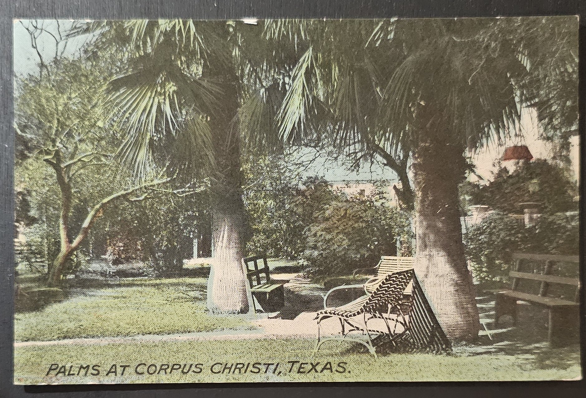 (image for) postcard USA - TX - Texas #0019